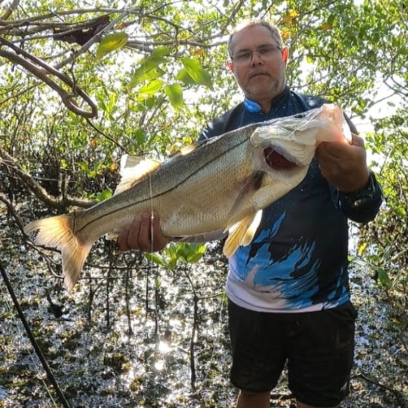 Zanata Pesca
