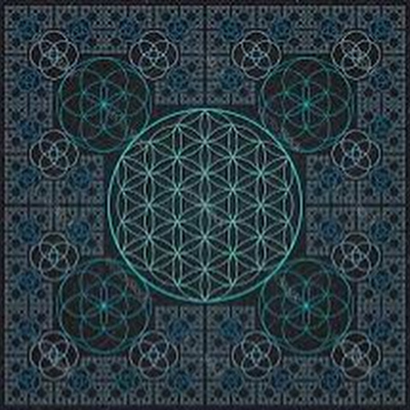 ॐ Kiona Jacqueloot ॐ