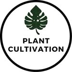 URBAN JUNGLE PLANT CULTIVATION