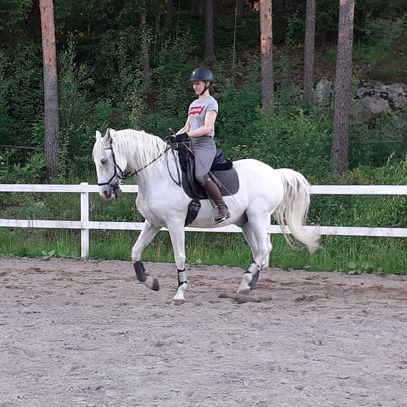 Johanna J Equestrian Physio