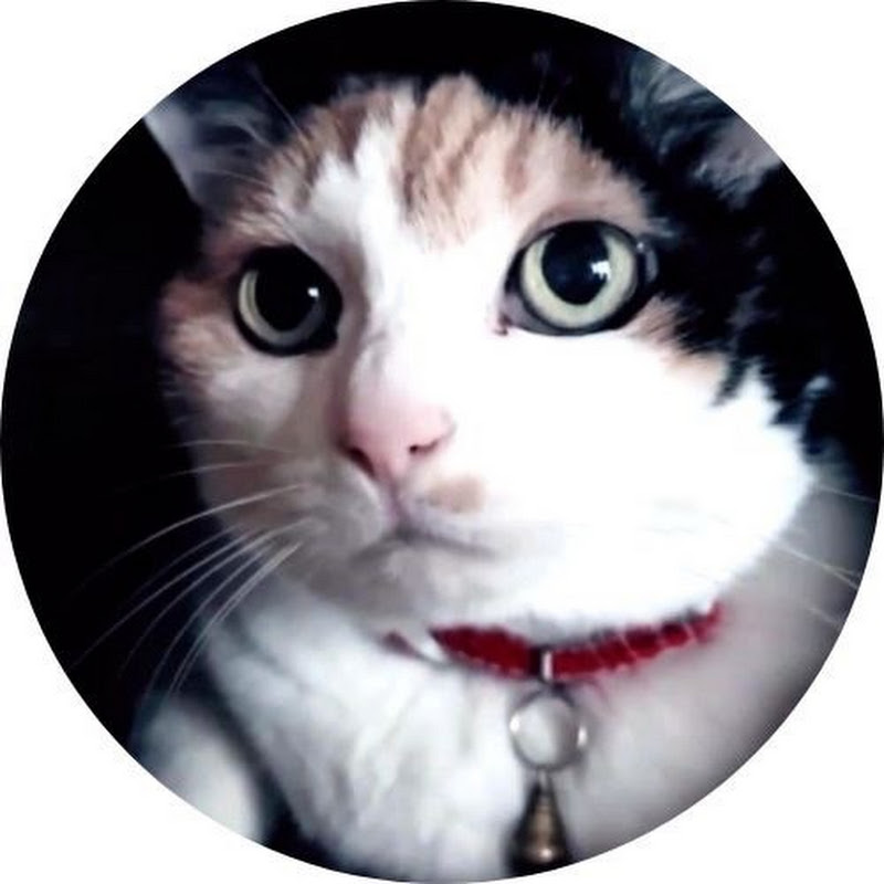 studio三条　遊蕩民