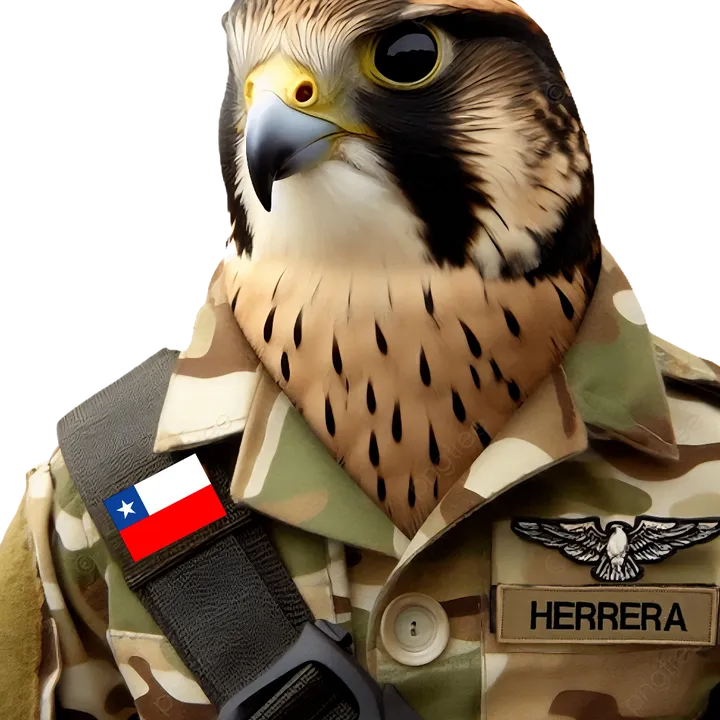 𝐡𝐚𝐥𝐜𝐨𝐧𝐠𝐢𝐚𝐧  𓅃