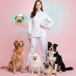 Confeitaria Pet | Bolo para Cães e Gatos | Festa Pet Recife