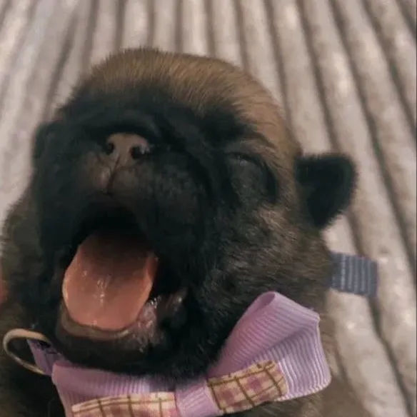 S1nkzツ | тгк: S1nkz