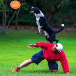 Pawspuptraining