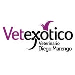 Dr. Diego Marengo I Vetexótico