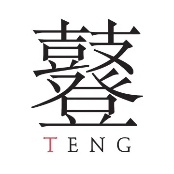 The TENG Company