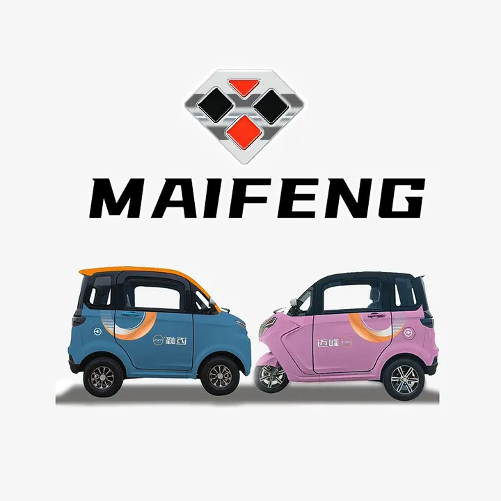 Chinese Electric Vehicles