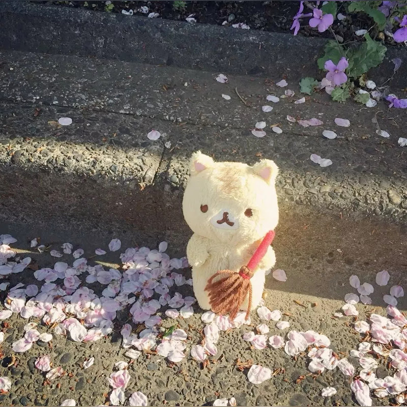 Lovely cookie