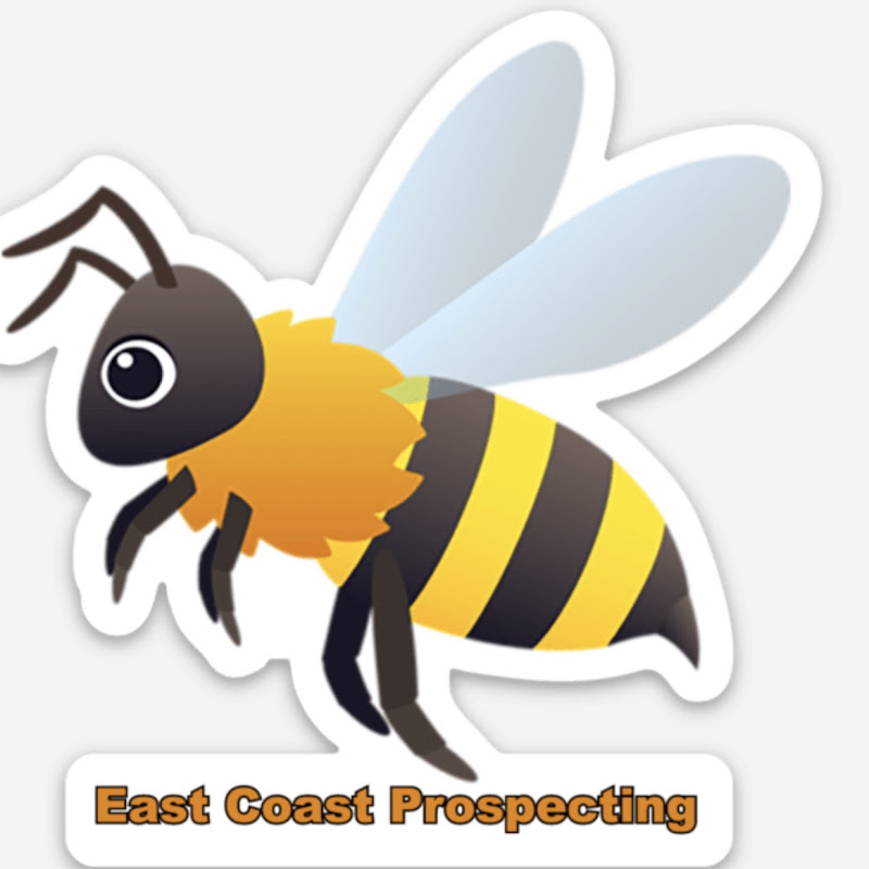 ECP HONEYBEES
