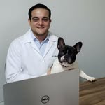 Eduardo Rossi | Dentista Veterinário
