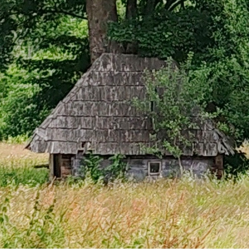 Rural Life in Carpathian Mountains of Romania