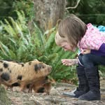 Staglands Wildlife Reserve