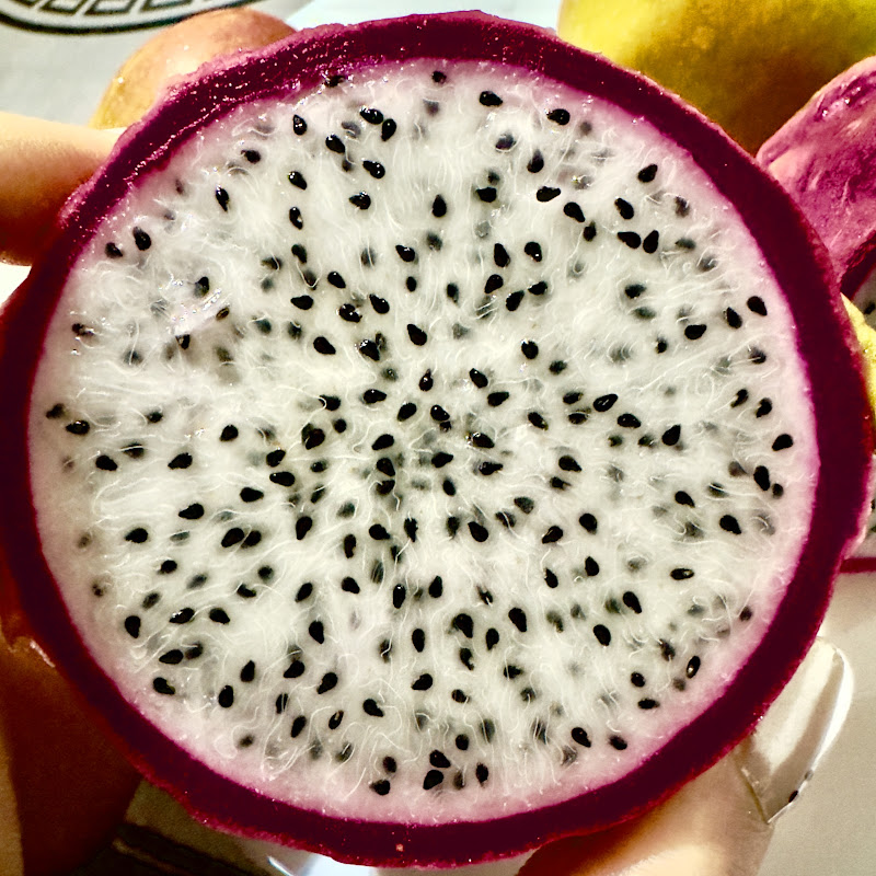 paintfoodie