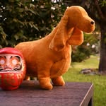 DarumaDoll Cocker