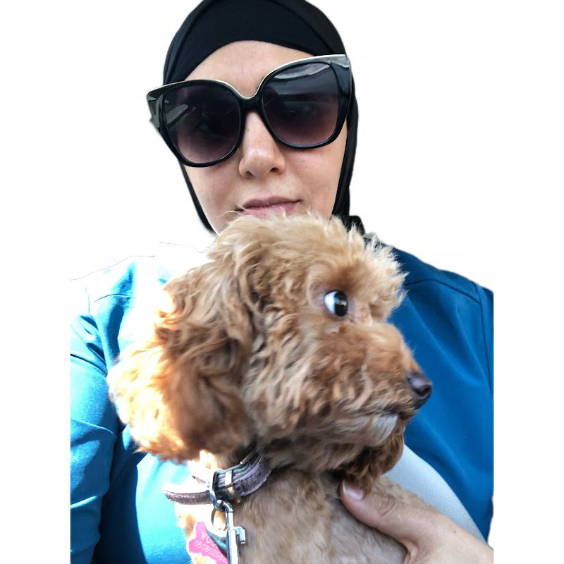 Aliaa Younes - pet joy