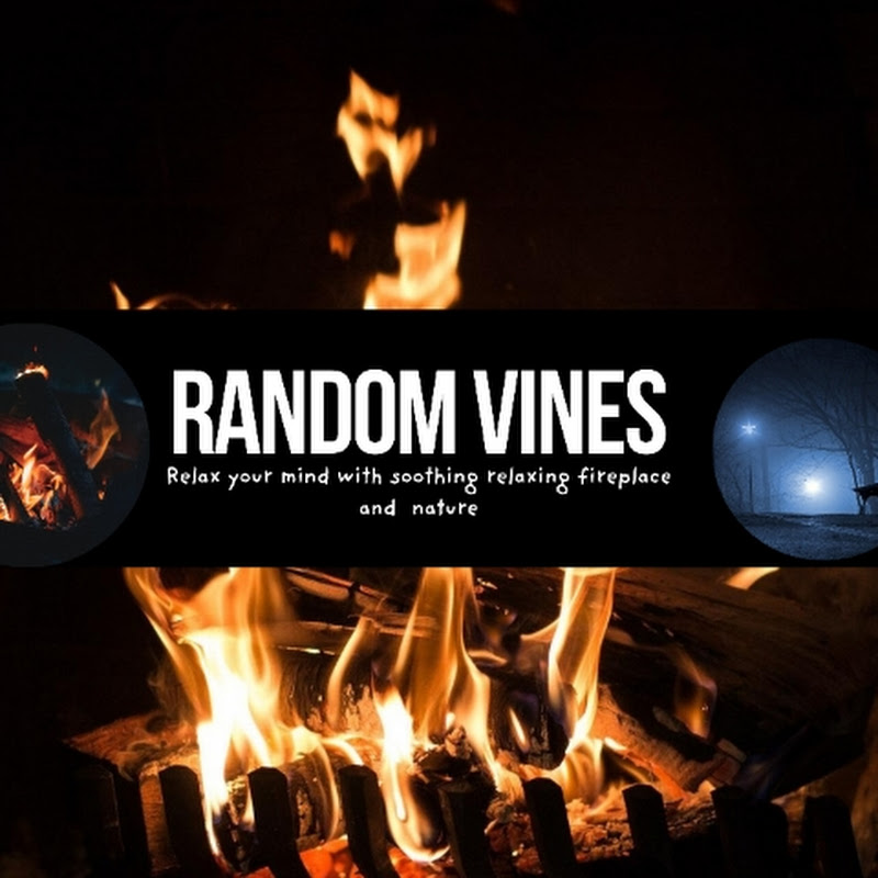 Random vines