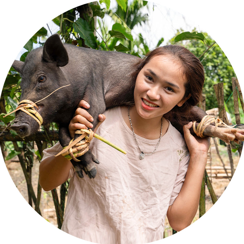 Tiểu Vân Harvest