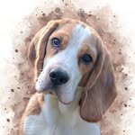 Bo the Baby Beagle