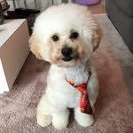 Braadworst 🐾🐩🦴