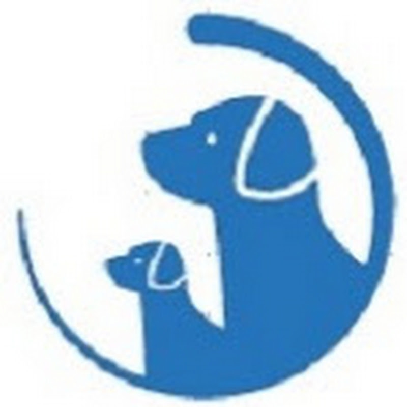 Cocker Spaniel World