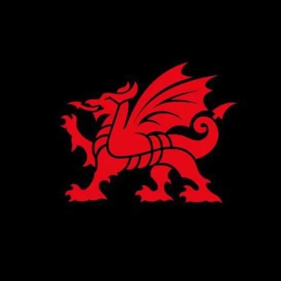 Wales 🏴󠁧󠁢󠁷󠁬󠁳󠁿