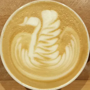 tentando ser barista