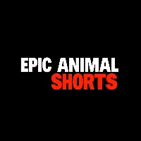 EpicAnimalShorts