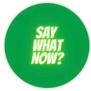 SayWhatNow