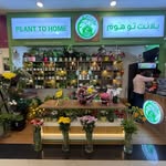 Plant To Home