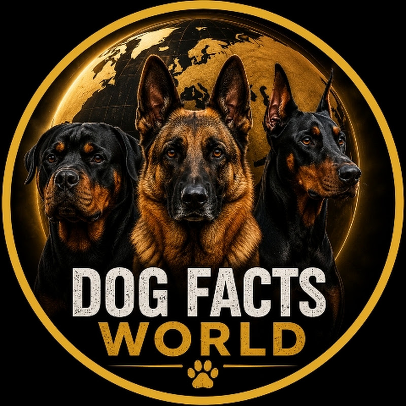 Dog Facts World 🐶
