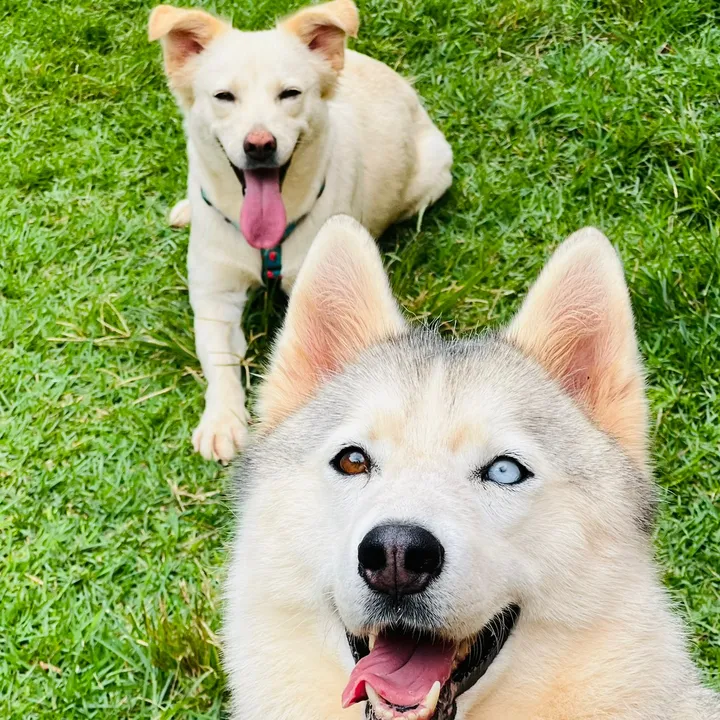 AKIRA & Ravena e kiara