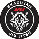 Apex Jiu Jitsu Somerset West