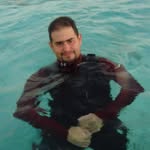 Amr A. Abdul-Majeed