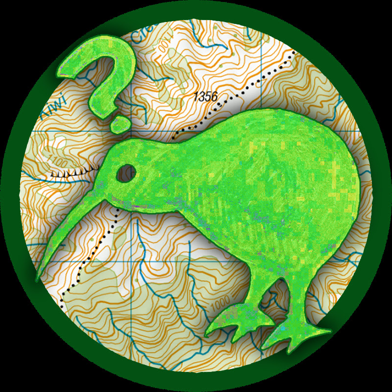 Lost Kiwi