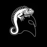 SEÑOR  IGUANO 🦎