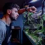 Claudio Sirianni | Aquascaping