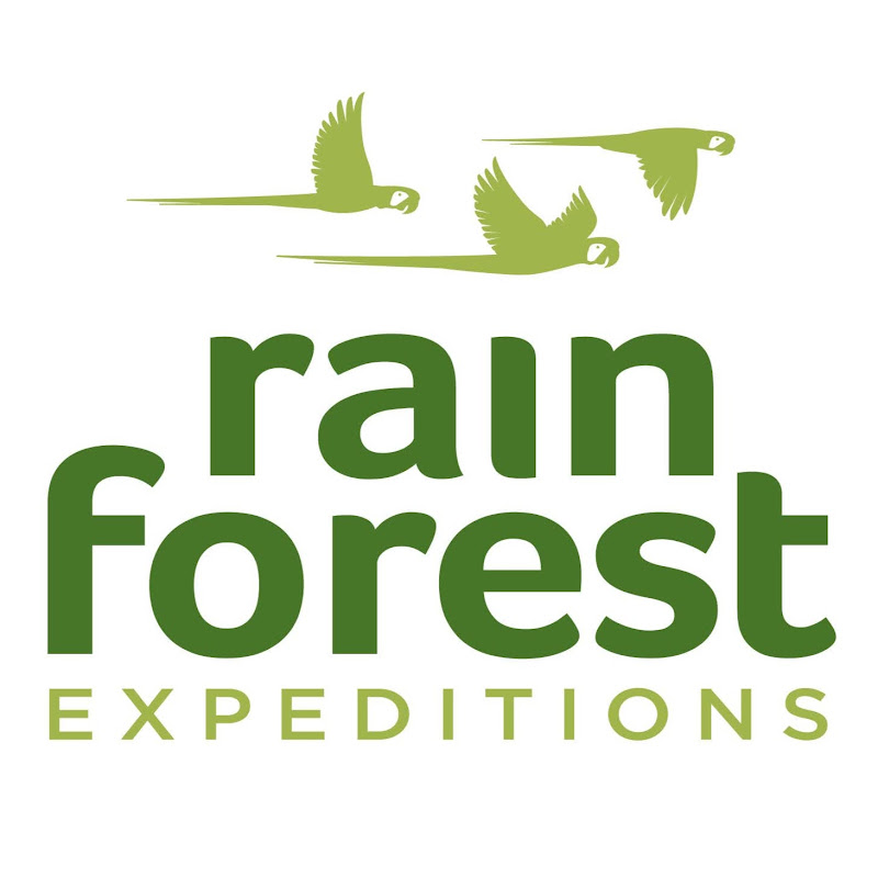 Rainforest Expeditions