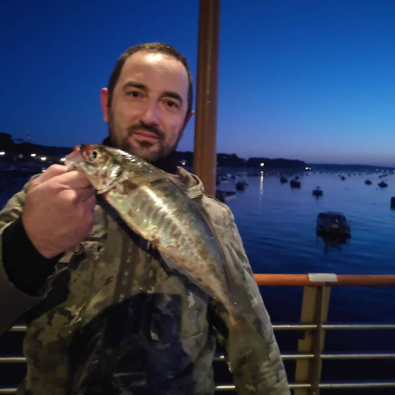 YAVUZFISHING-Surfcasting& Daurade royale 
