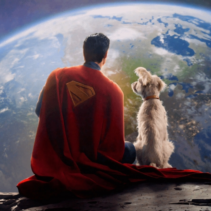Mr. Kryptonian