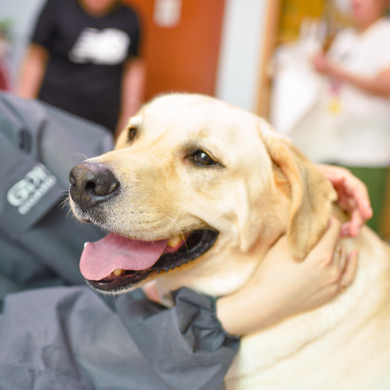 대구앵두네 쉼터
