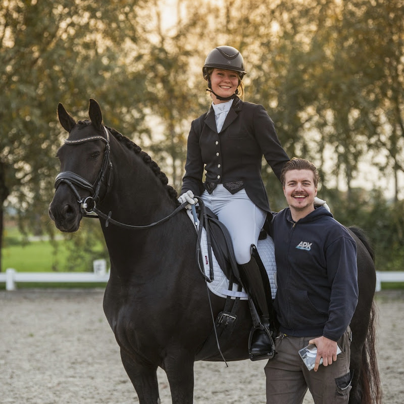 Het Leven Als Paardenmeisje