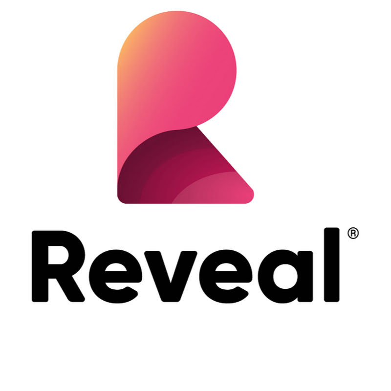 Reveal BI