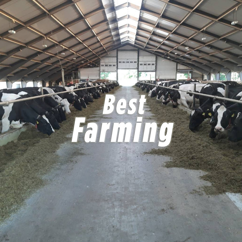 Best Farming
