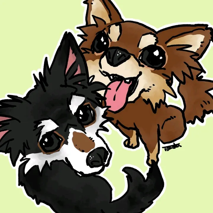 チワワ(Chihuahua)🎸🎸