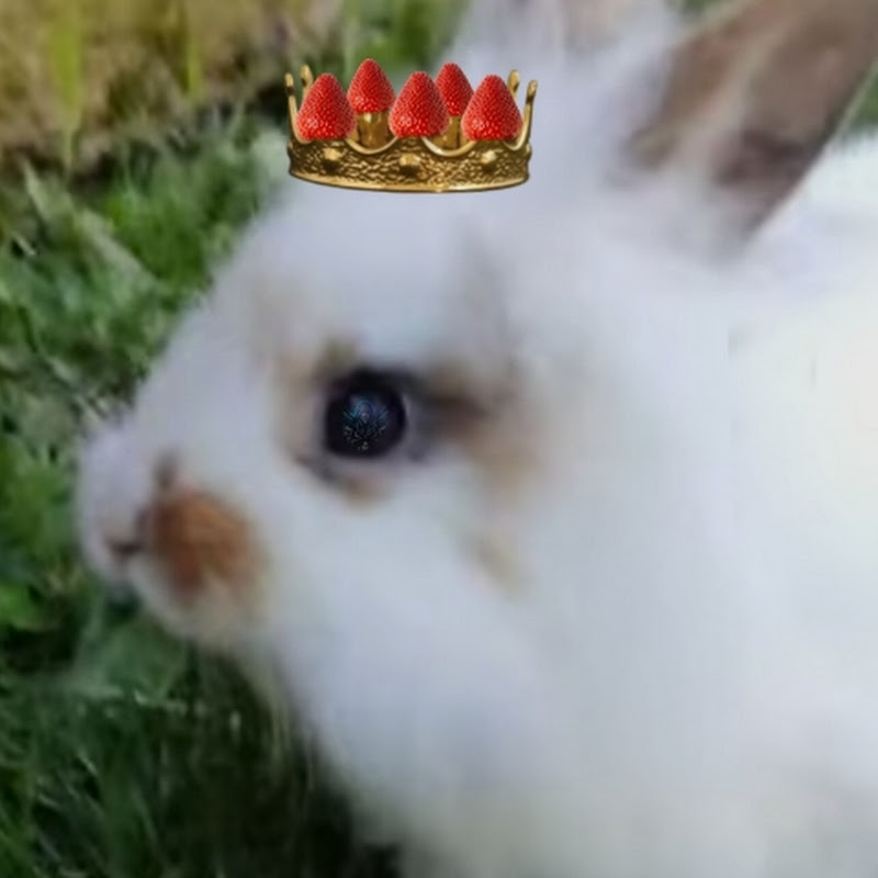 VICENTE GAMER | Gaming y Aviación 