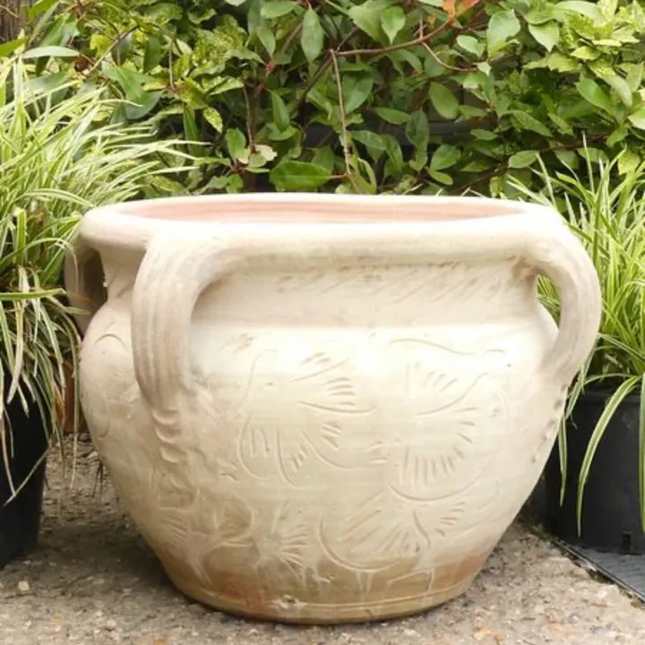 Roots2Petals Pots & Plants