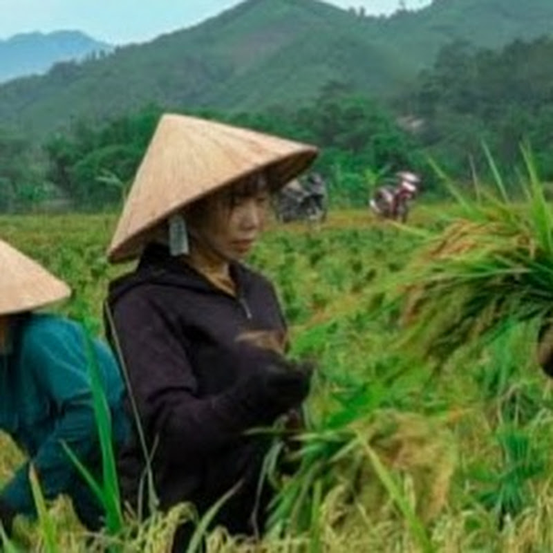Lý Tiểu Cai