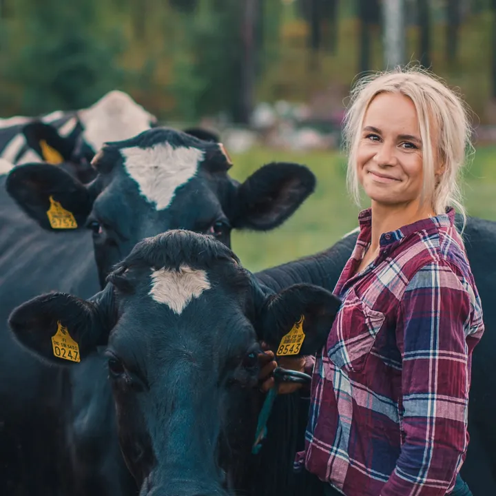 Kaisa Honkaharju