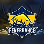 Fenerbahçe Espor